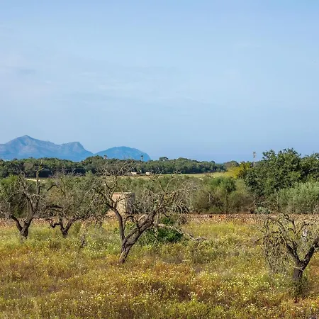 Santa Eulalia 54 度假居